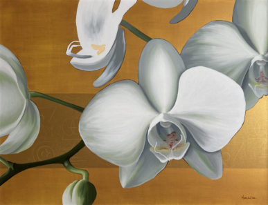 orchidées blanches sur fond peinture dorée