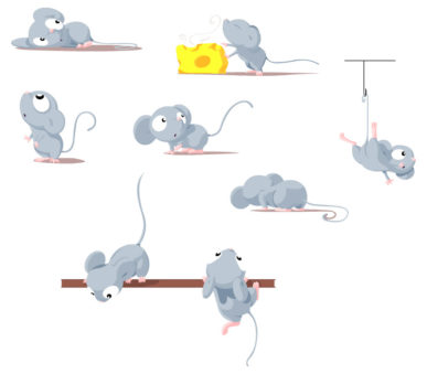 Illustrations numériques - Minyatura Studio